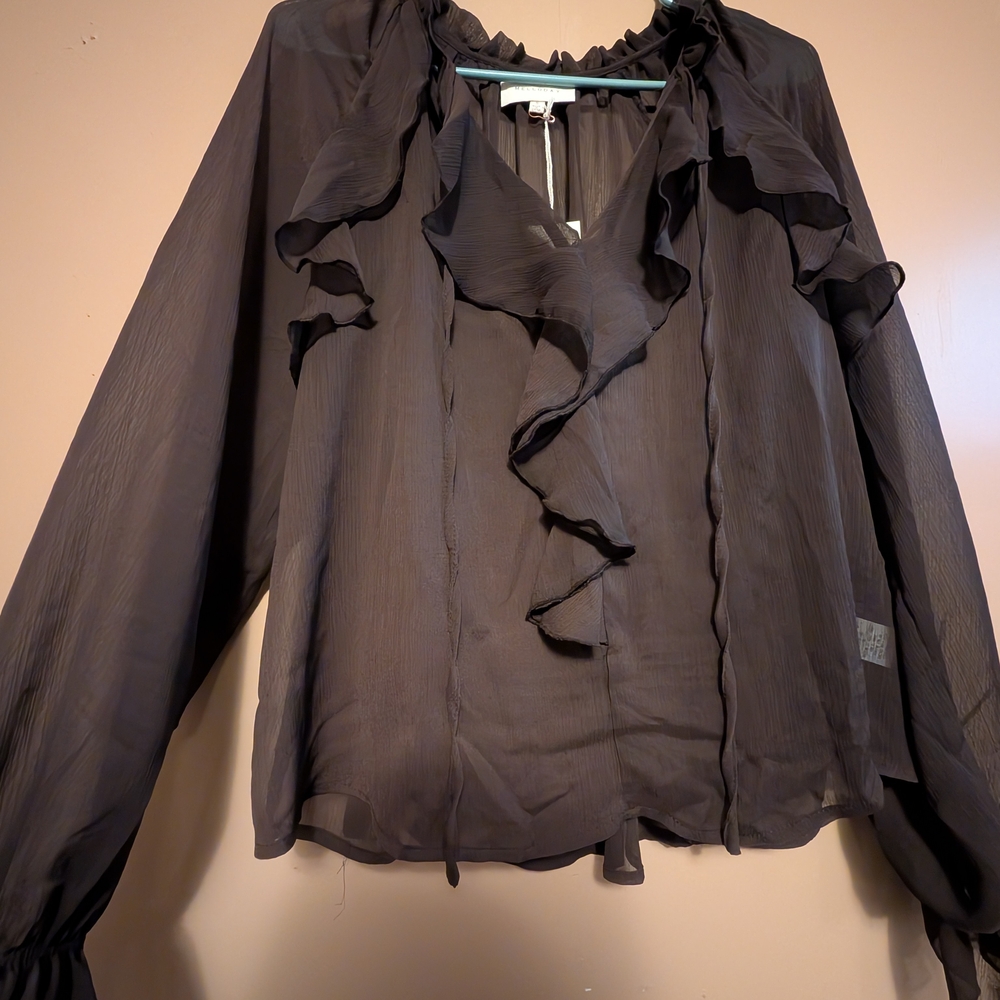 Sheer Brown Ruffle Blouse - Picture 2 of 9